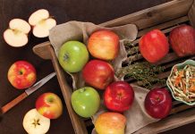 Think Outside the Pie: Comparing Apples to Apples
