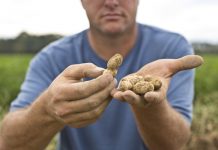 An Inside Look at Hope & Harmony Farms