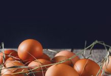 Handed Down: Collecting Eggs