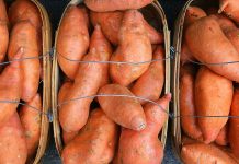 Mississippi Sweet Potatoes: A Tasty Tradition