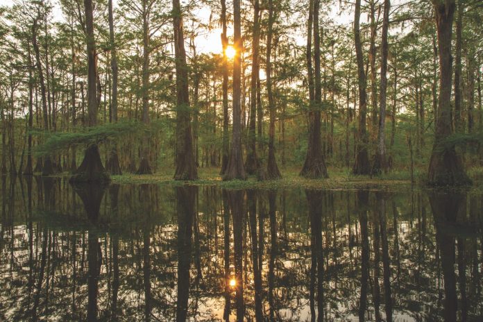 LakeMartin__178JOH-copy-1536x1024-1 Waterways of Cajun Coast