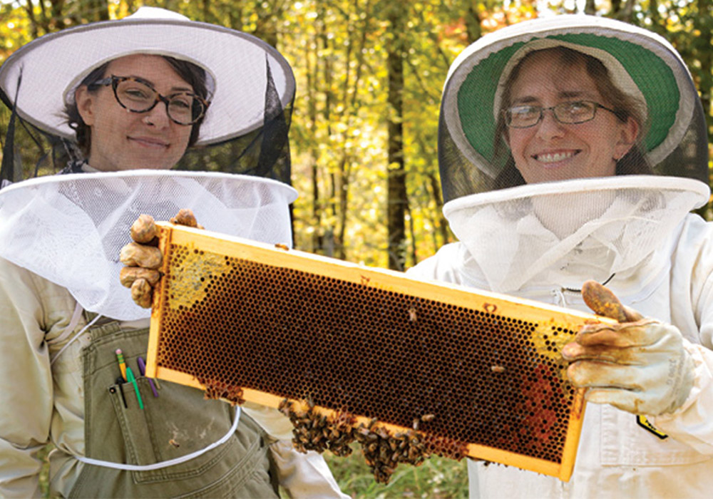 Appalachian Beekeeping Collective