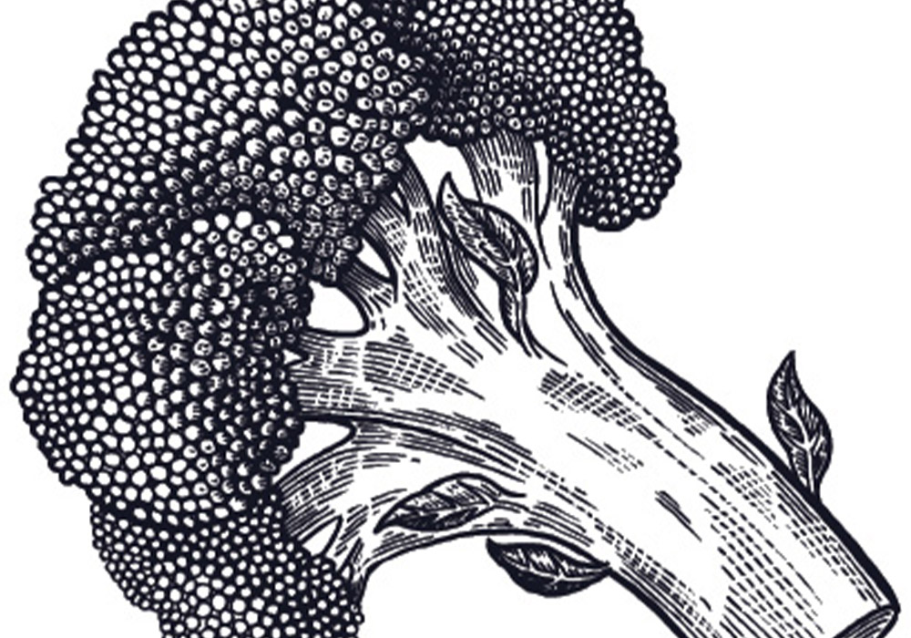 Broccoli stencil