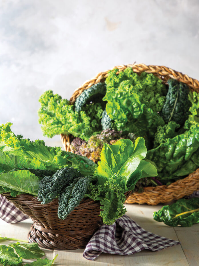 Market Basket: Hearty Greens. Winter’s hearty greens shine in these yummy recipes filled with collards, mustard greens, Swiss chard, turnip greens, and kale of all kinds.