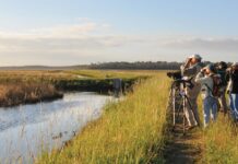 Explore the Best of the Outer Banks: North Carolina’s Coastal Paradise
