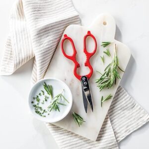 Zwilling shears
