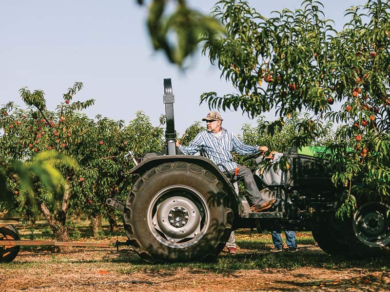 Lane Southern Orchards Guy on tractor