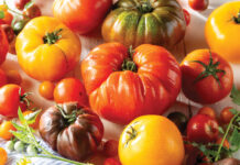 Summer’s Best Tomato Recipes Summer's Best Tomato Recipes
