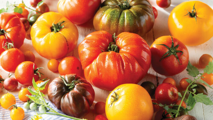 Summer's Best Tomato Recipes