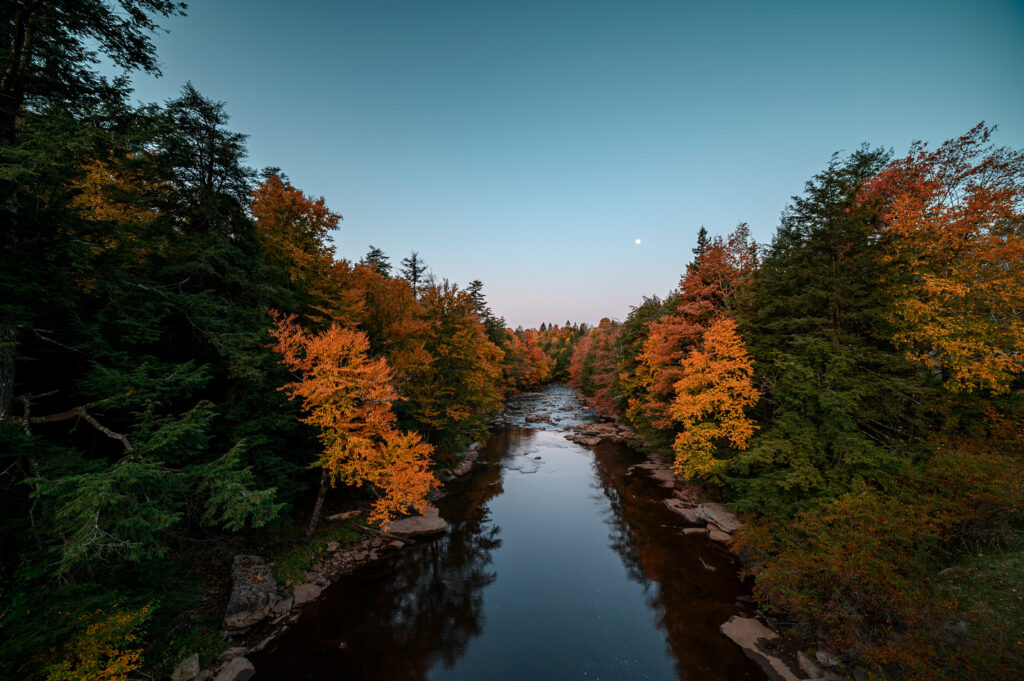 Blackwater Falls State Park