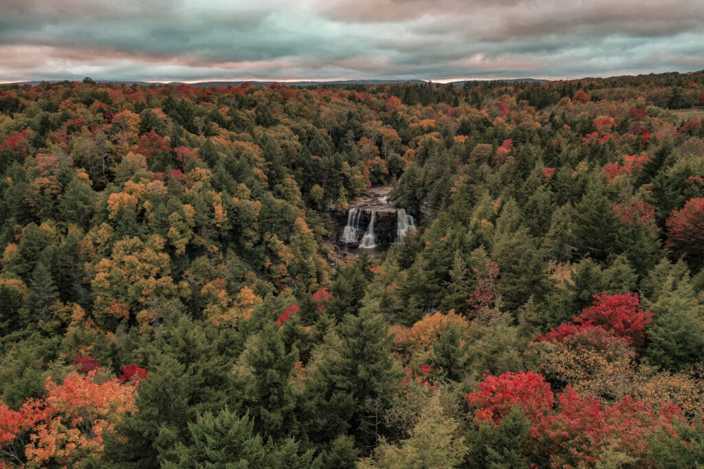 Thomas and Davis, West Virginia