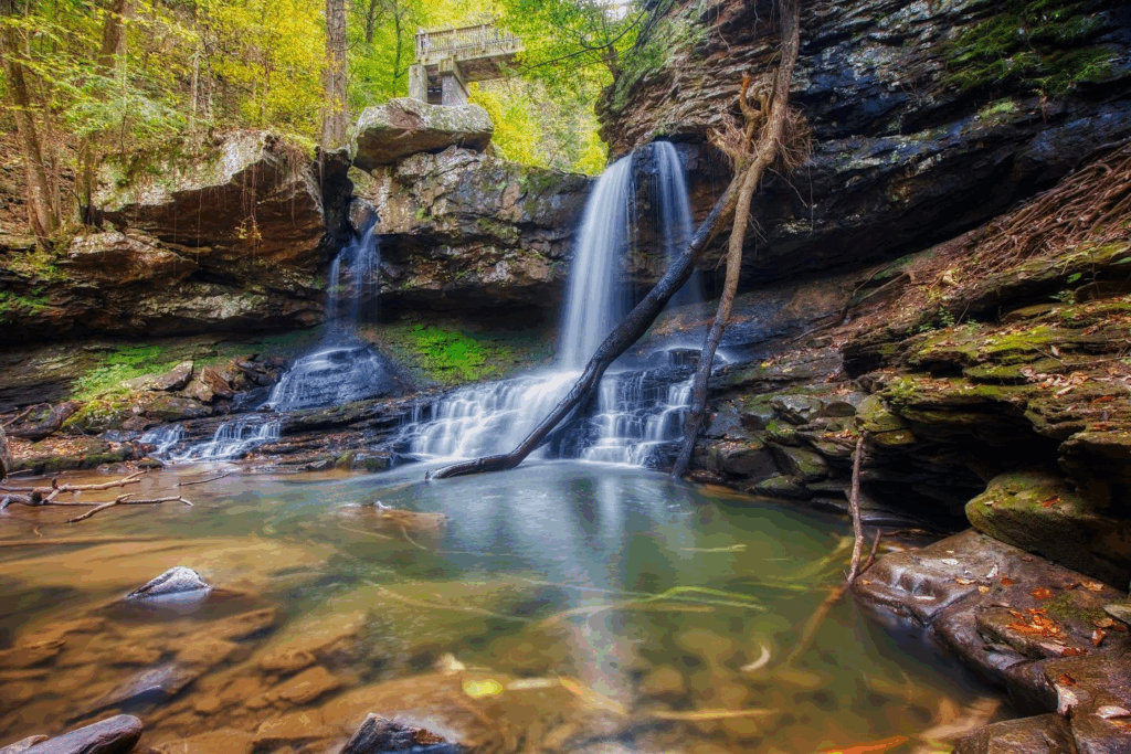 Where Mountains Meet Adventure: Dade County, Georgia