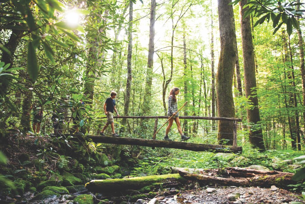 Hiking through woods