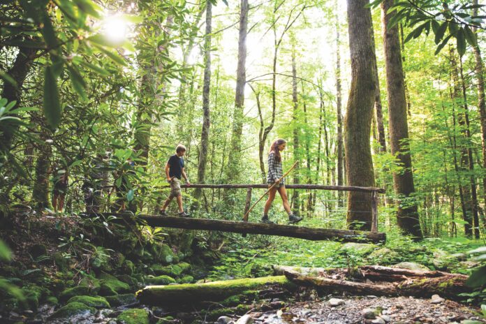 Hiking in the Great Smoky Mountains National Park in Gatlinburg, Tennessee. Hiking through woods