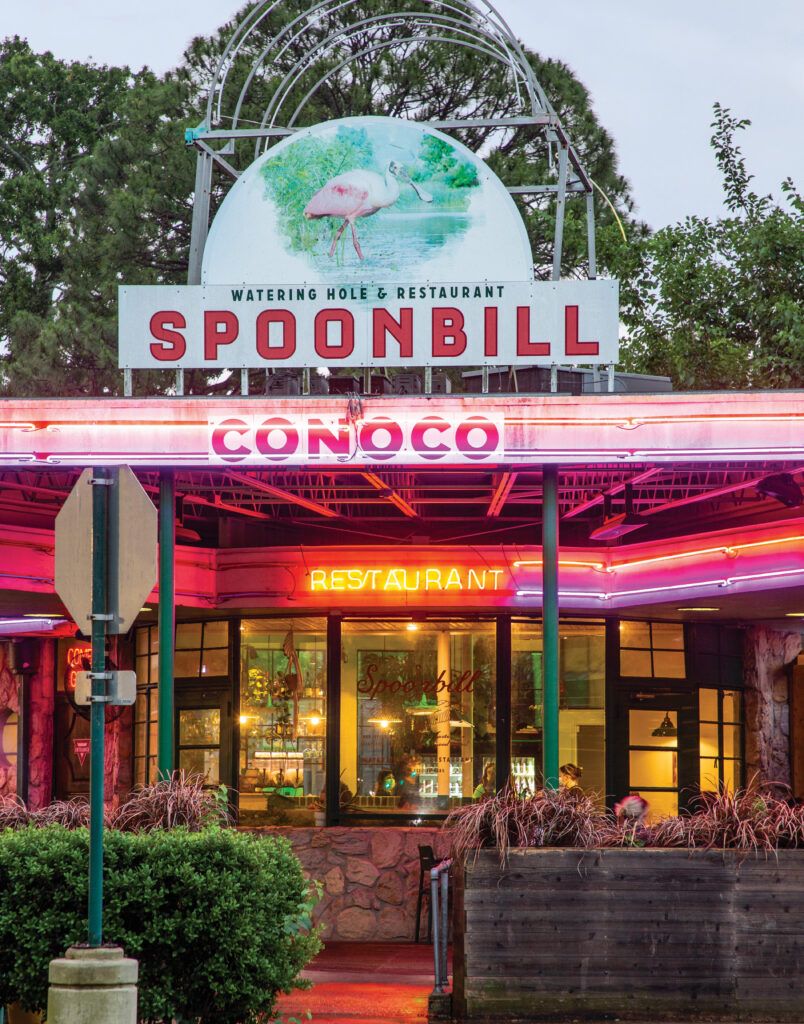 Spoonbill Watering Hole