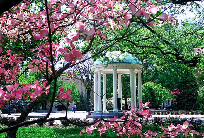UNC Chapel Hill Old Well with Dogwood Blossoms Carolina Blue Meets Autumn Gold: Chapel Hill, North Carolina