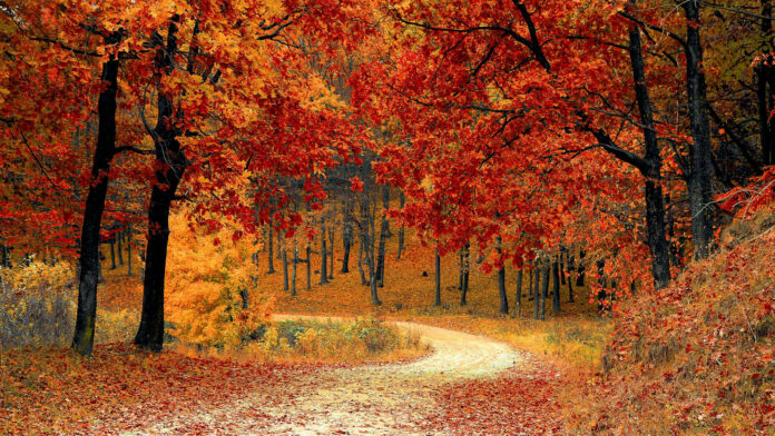 Can’t Miss Southern Cities: A Fall Travel Guide
