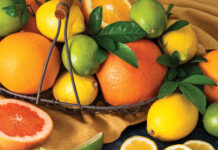 Citrus Season Baking Citrus Season Baking