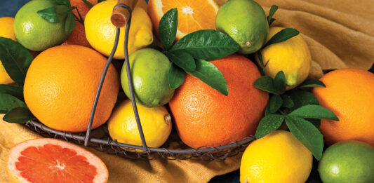 Citrus Season Baking Citrus Season Baking