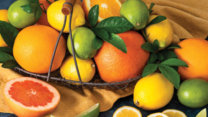 Citrus Season Baking