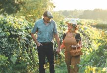 Why Tifton, Georgia, Should Be Your Next Road Trip Stop